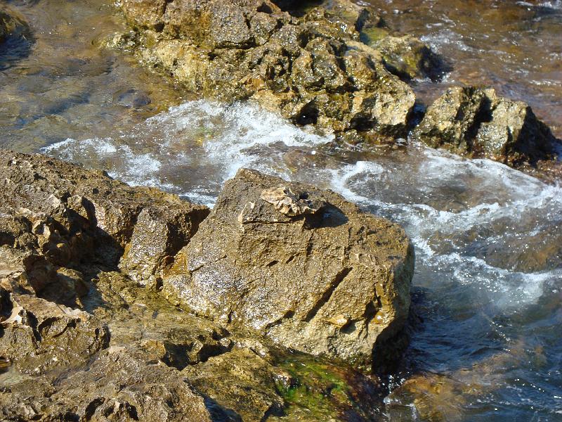 2009-09-10 14-12-14Li.JPG